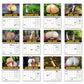 World's Greatest Mushrooms - 2025 Wall Calendar