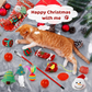 🐱2024 Christmas Countdown Cat Toys Advent Calendar🐈FREE SHIPPING