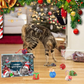 🐱2024 Christmas Countdown Cat Toys Advent Calendar🐈FREE SHIPPING