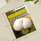 🎄💕Hot Christmas Sale🎁World's Greatest Mushrooms - 2025 Wall Calendar